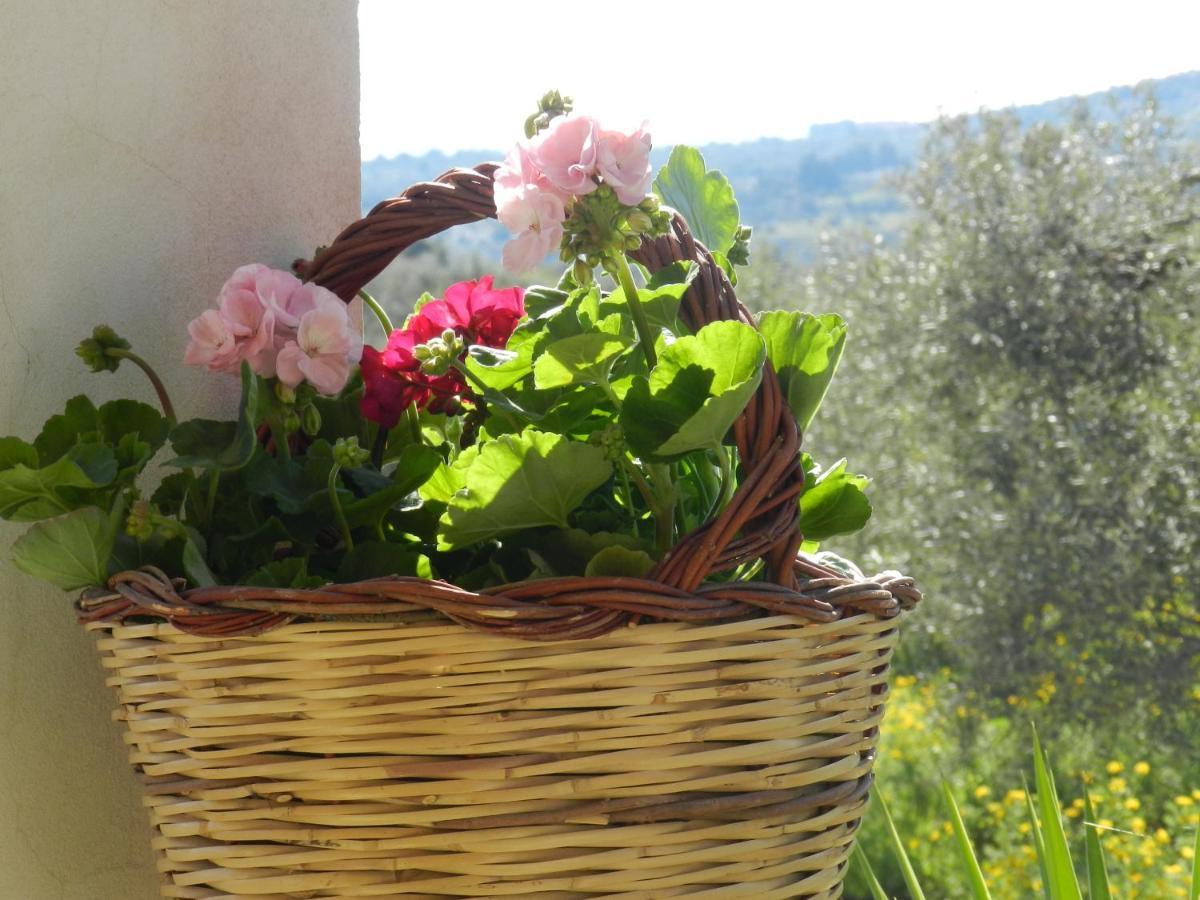 Masseria Santacatrini Melilli Kültér fotó